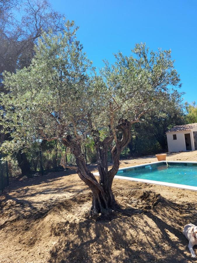 Villa Gitedelea Aubignan Exteriör bild